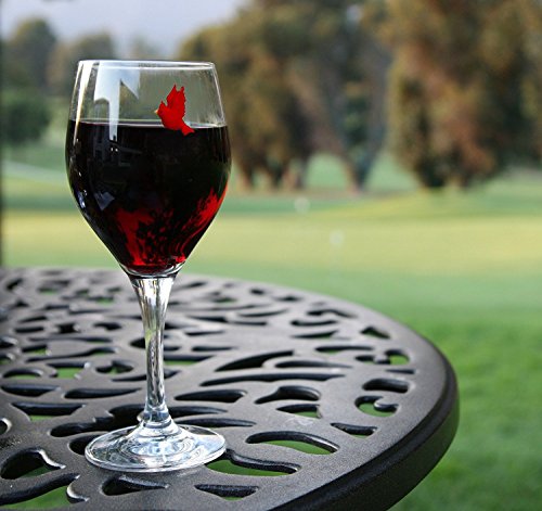Magnetic Drink Markers Set of 6 R6116