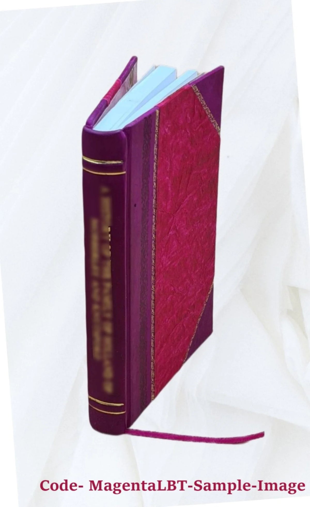 Mentana Monumento Cenni Storici Leather Bound A973