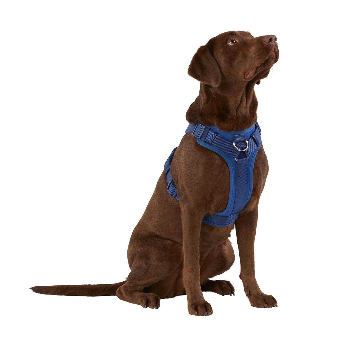 Neoprene Dog Harness Q868
