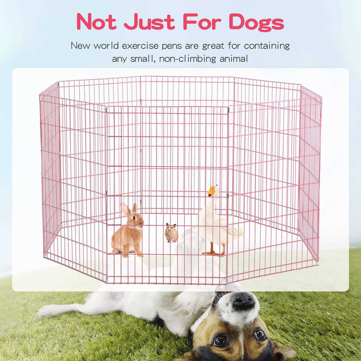 8 Panel Dog Playpen D393360