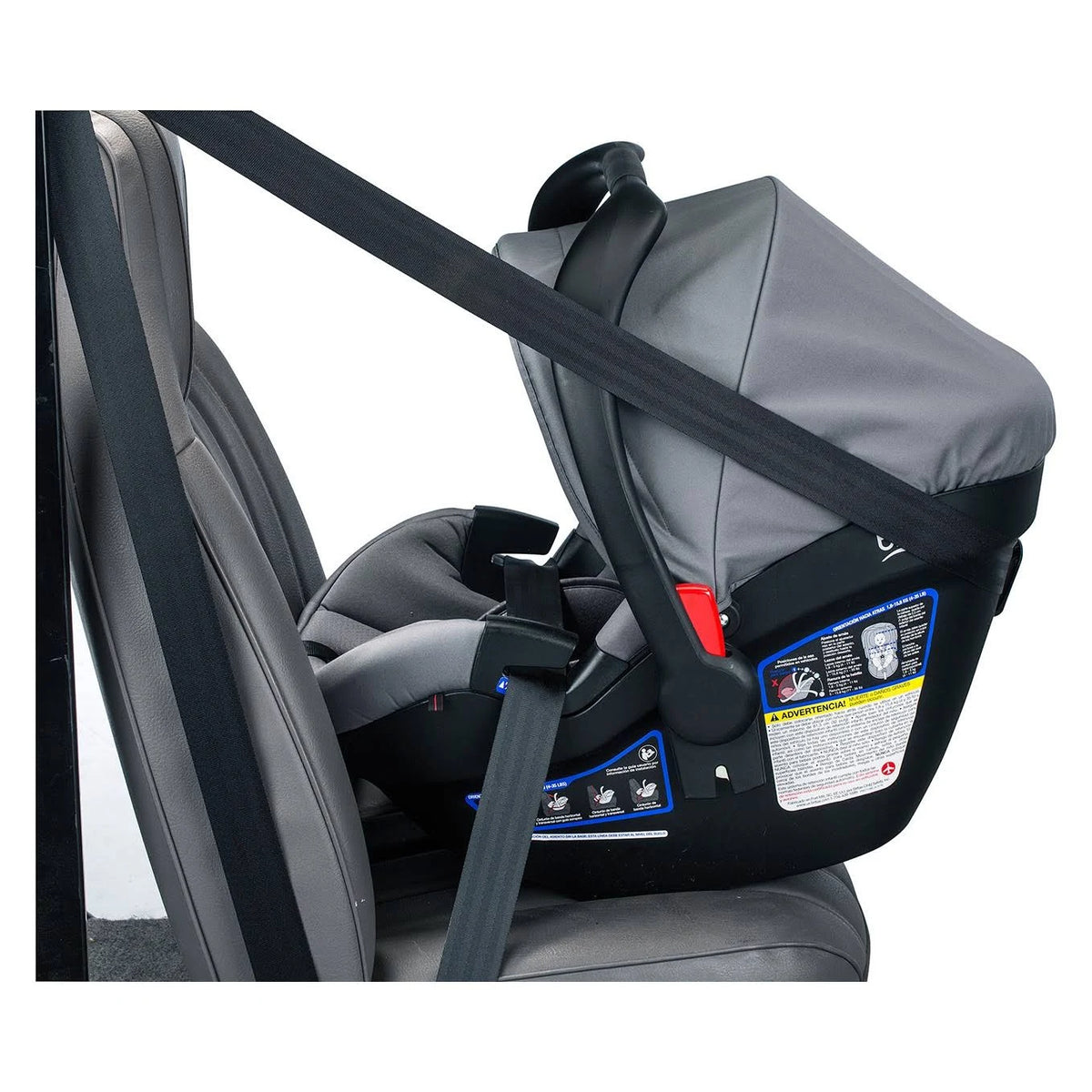 Infant Car Seat M953586