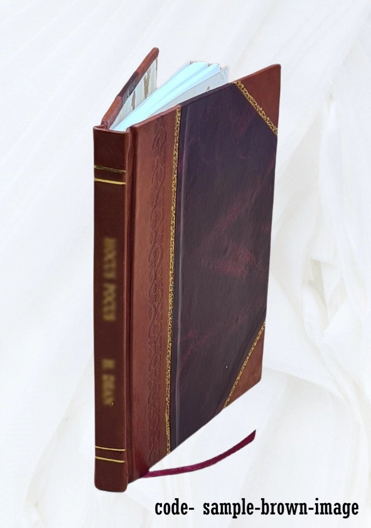 Mentana Monumento Cenni Storici Leather Bound A973
