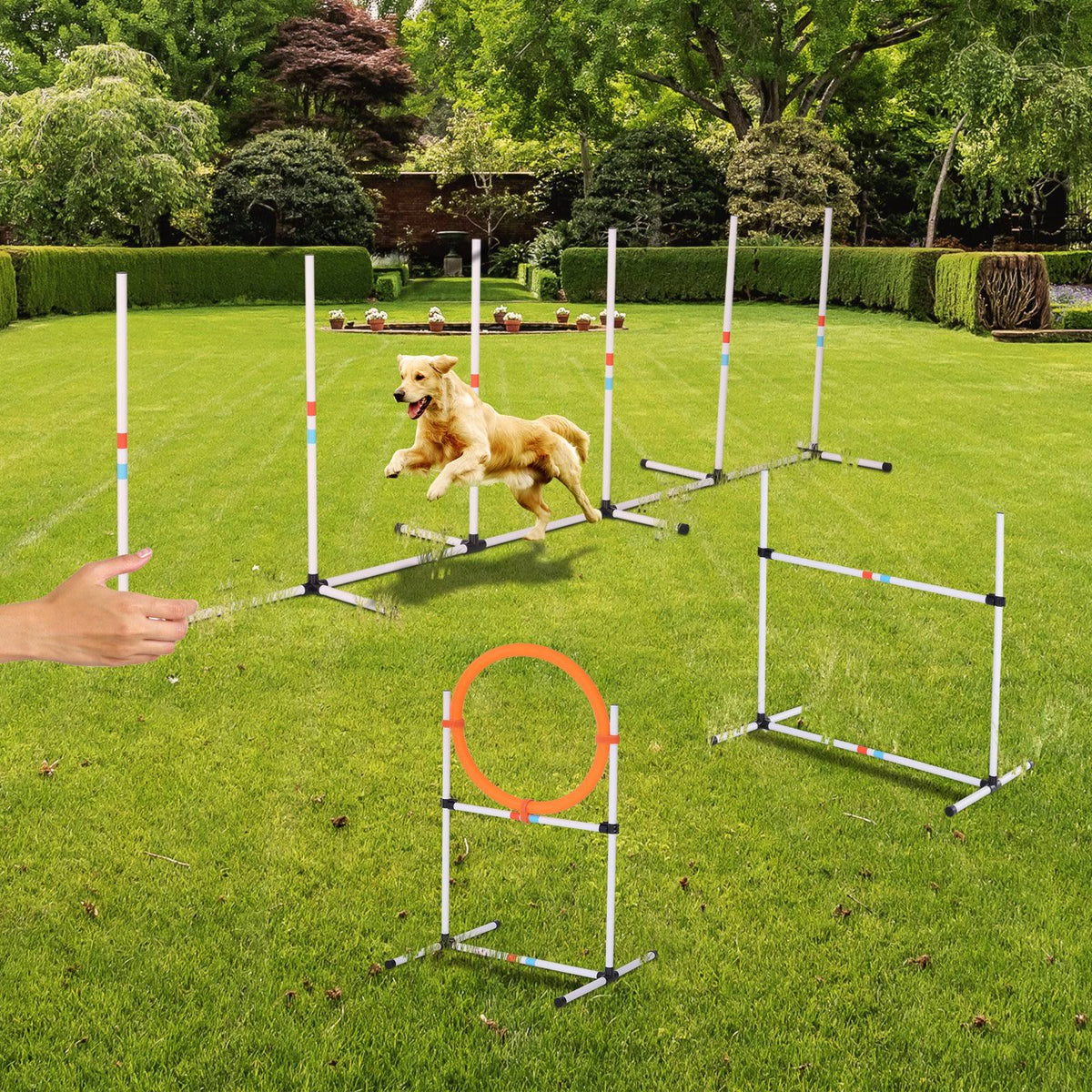 Portable Pet Agility Training Set with Carry Bag X825