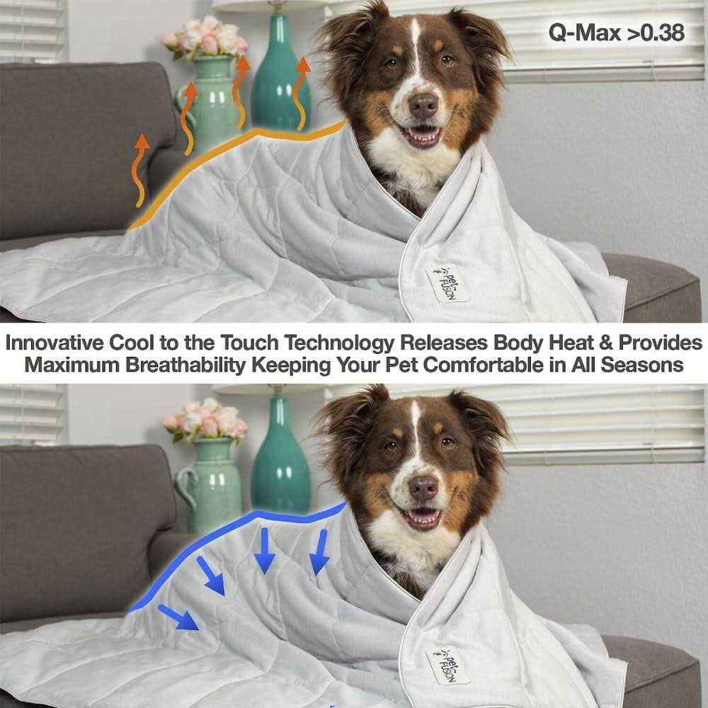 Lightweight Cat and Dog Cooling Blanket I46940