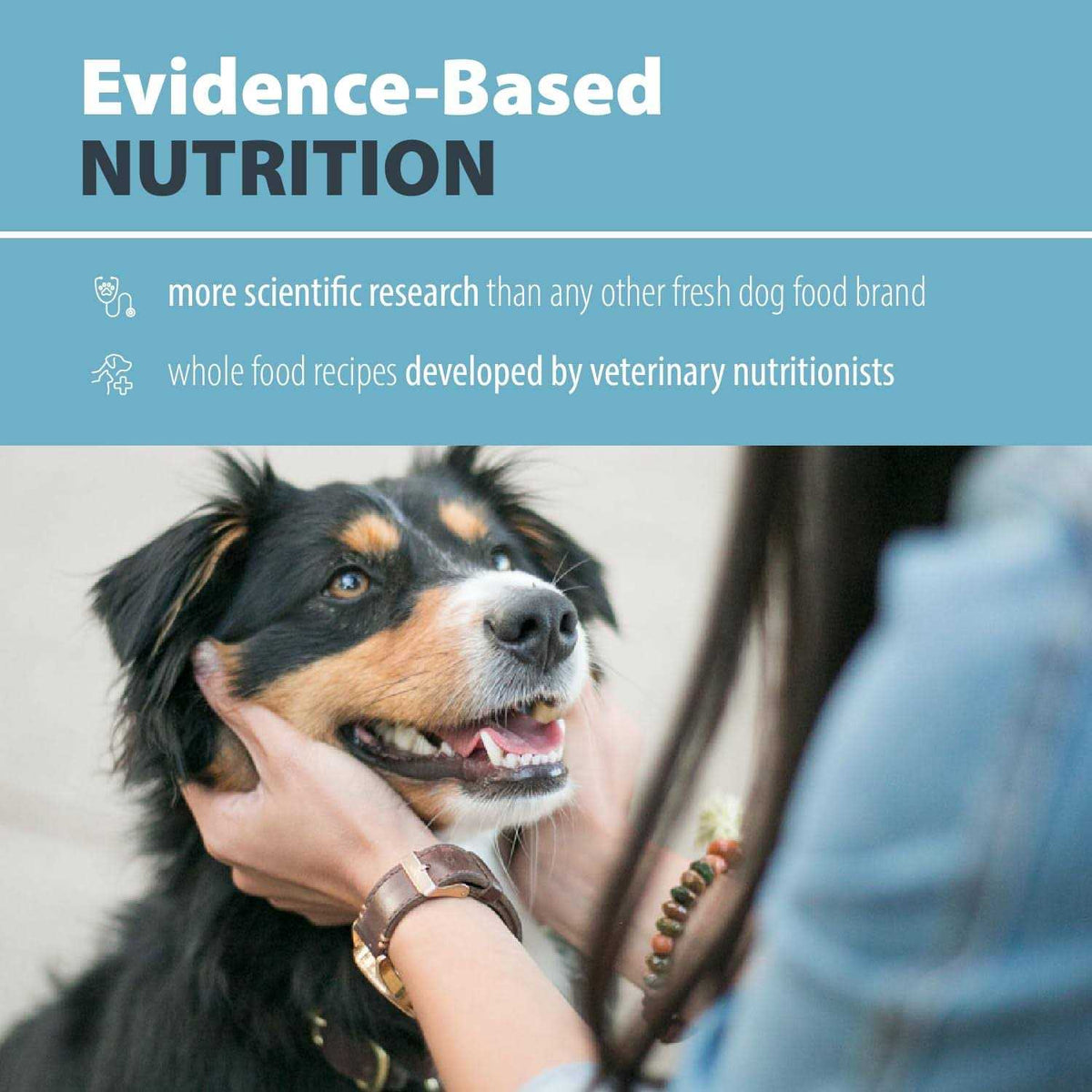 Low Fat Wet Dog Food O6098