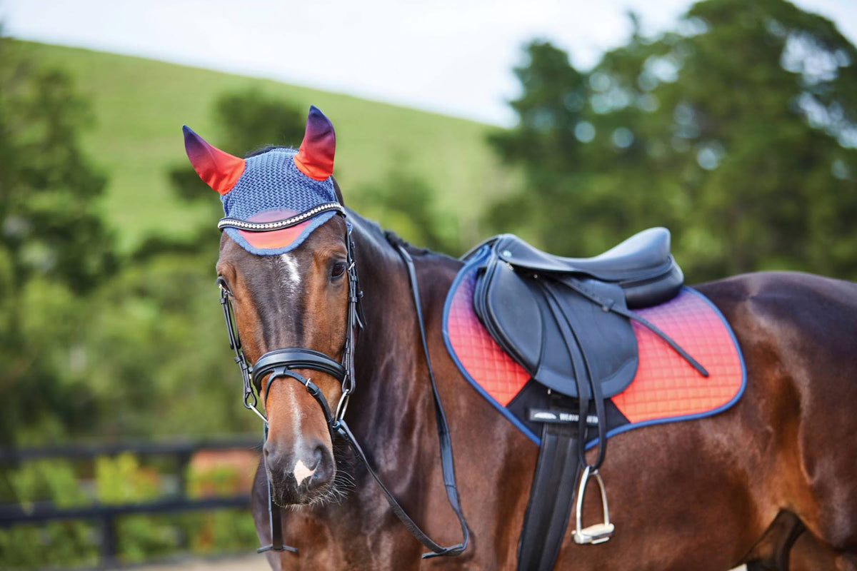 Pony Ombre Jump Saddle Pad L41518