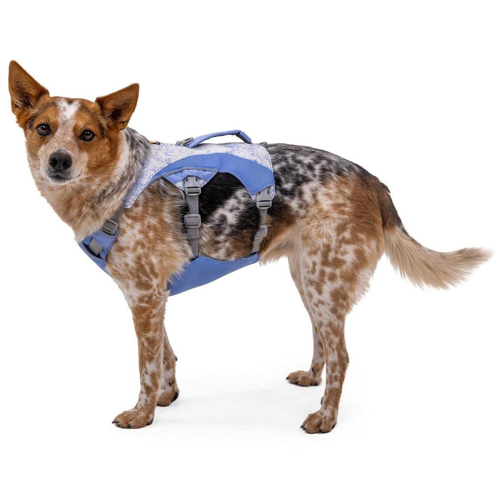 Dog Harness T538169