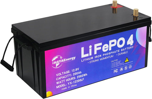 12V 100Ah Deep Cycle LiFePO4 Battery with 100A BMS F25949