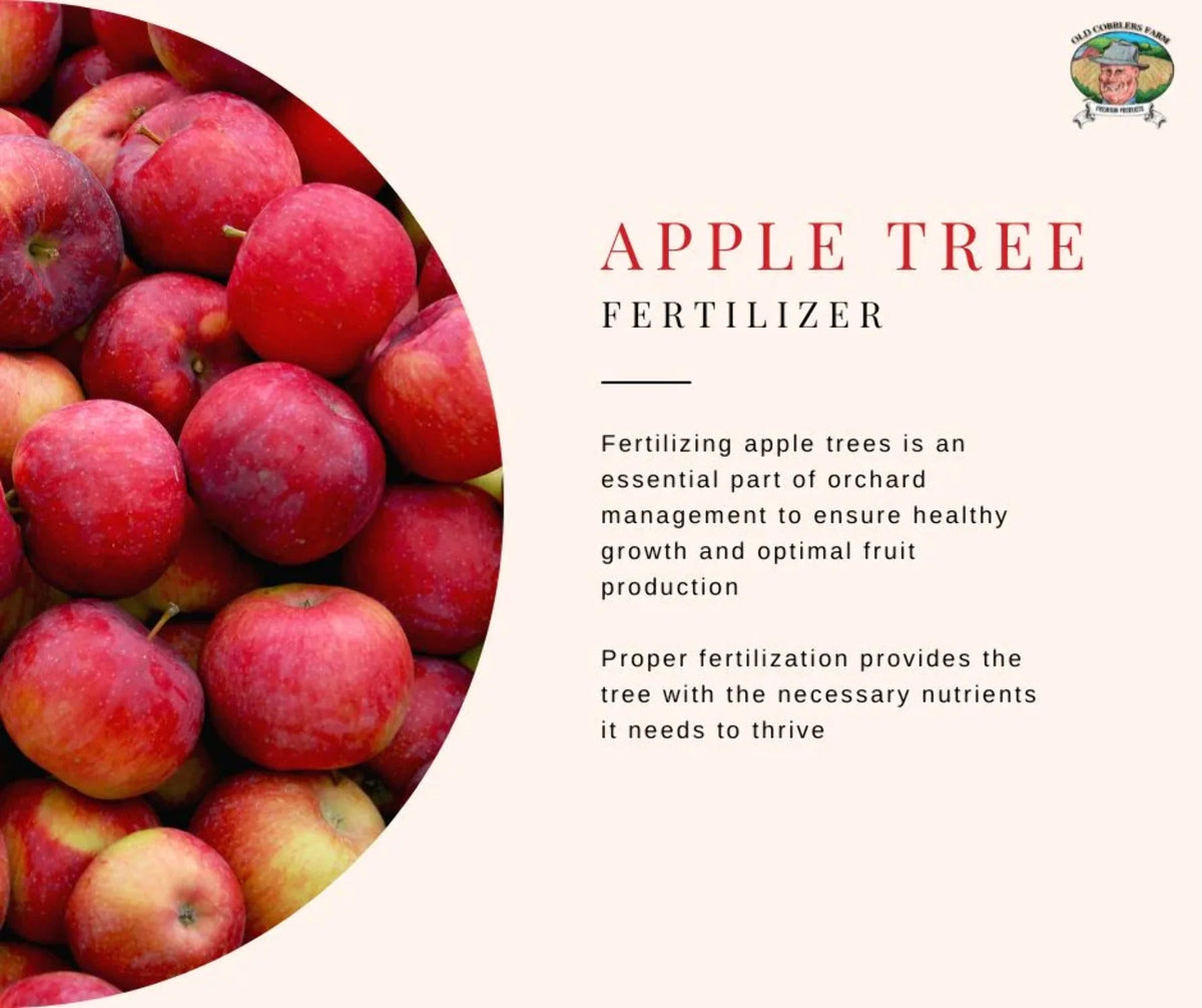 Onion Fertilizer 20 lbs H363