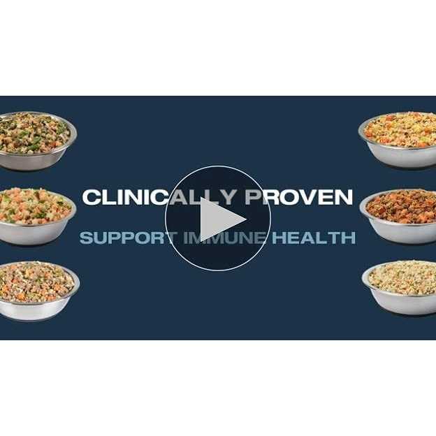Low Fat Wet Dog Food O6098