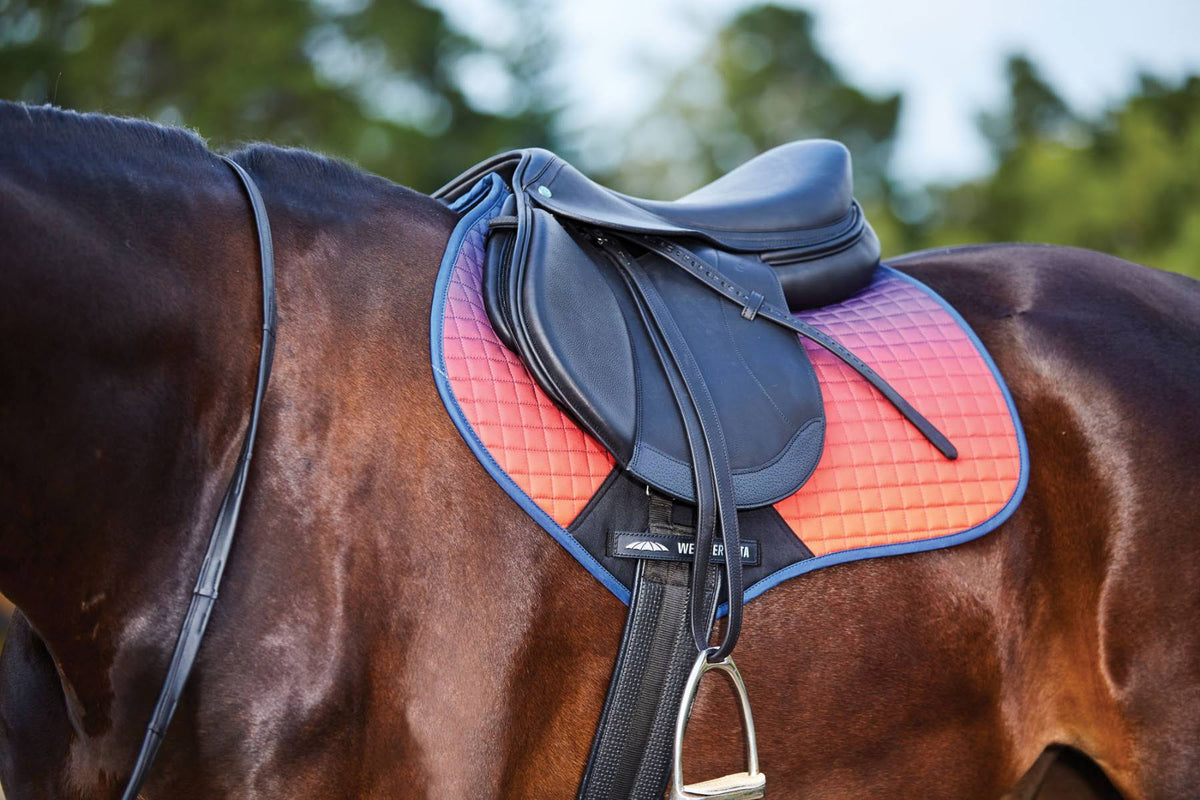 Pony Ombre Jump Saddle Pad L41518