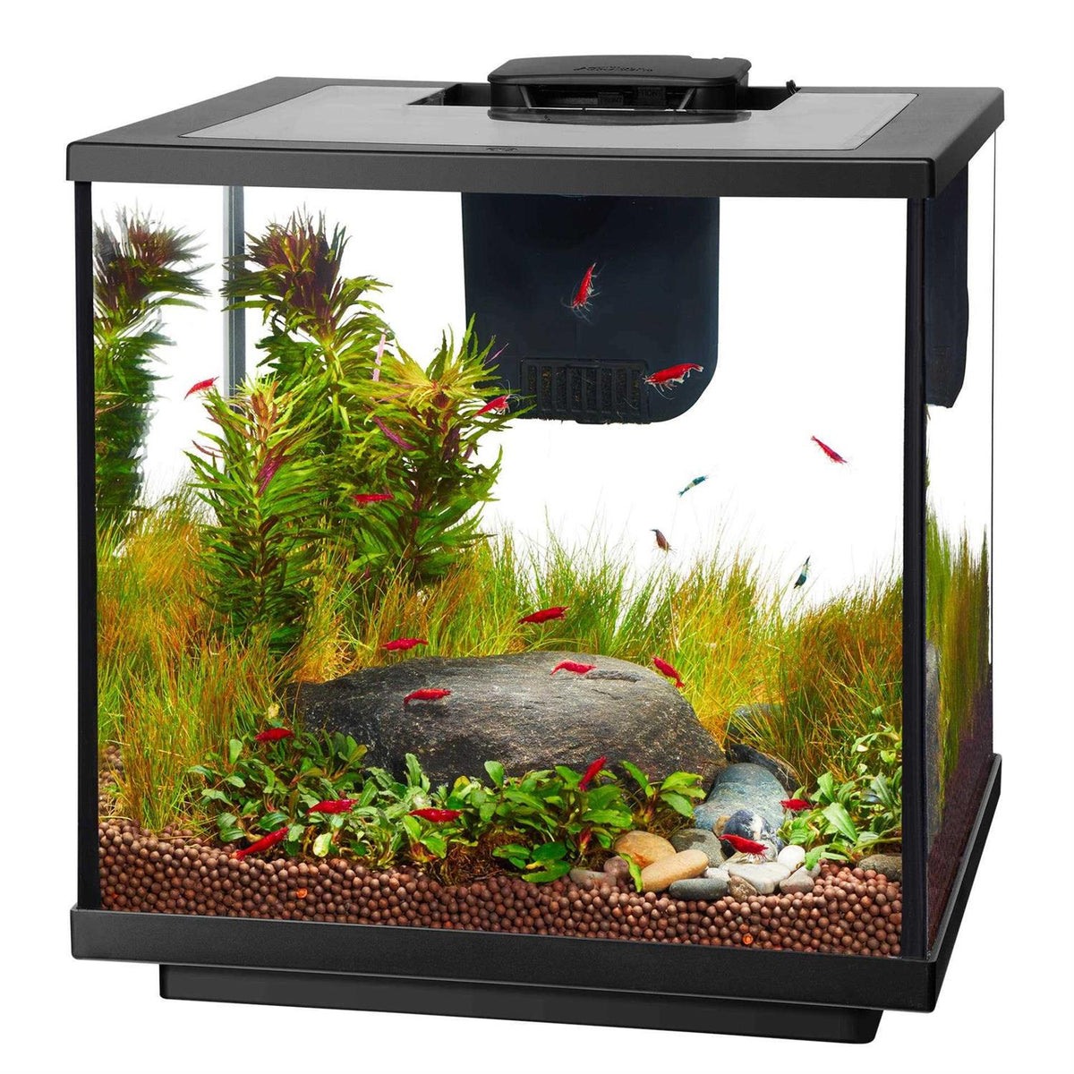 7.5 Gallon LED Shrimp Aquarium Kit M26758