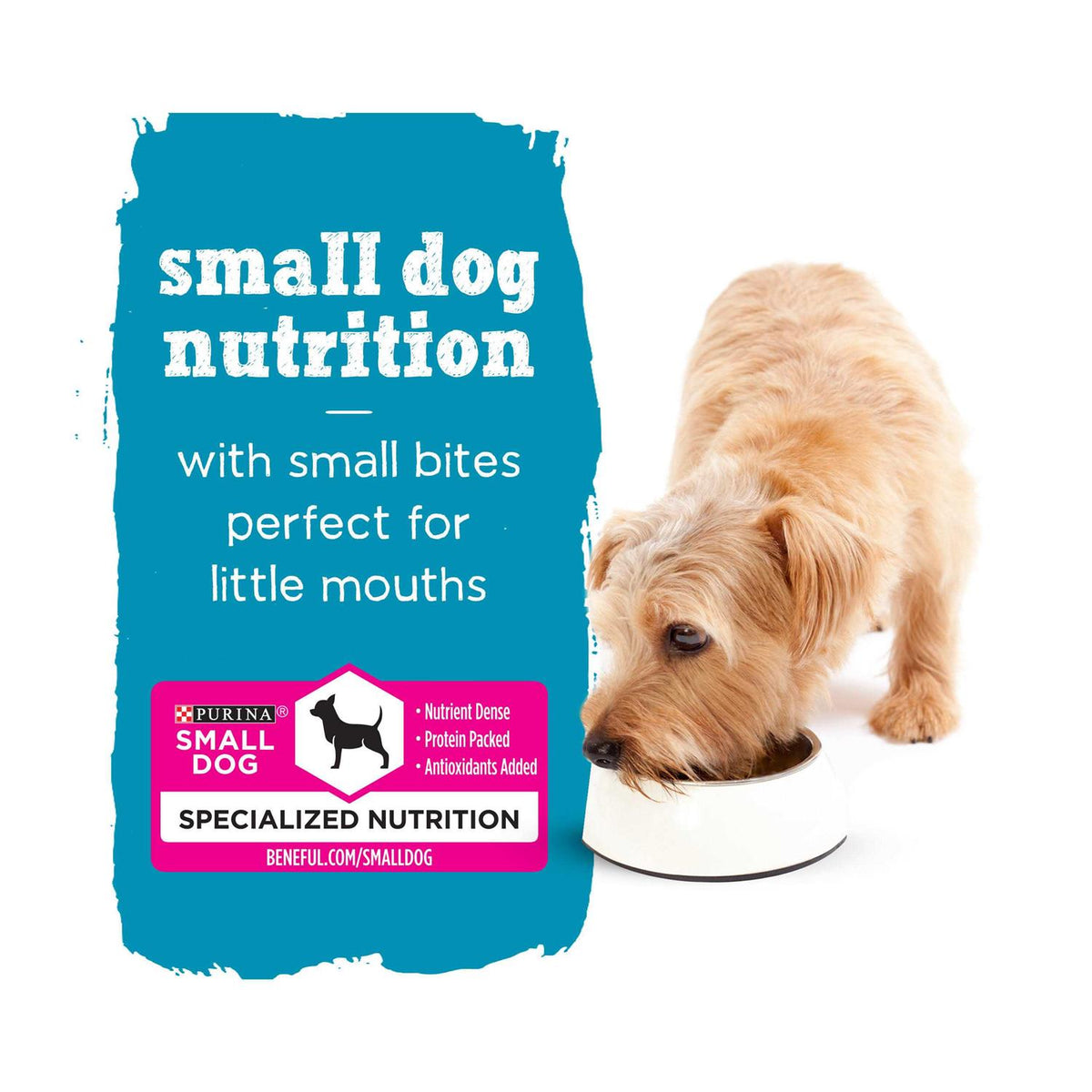 Chicken Beef & Salmon Variety Pack Wet Small Dog Food Cans P9063