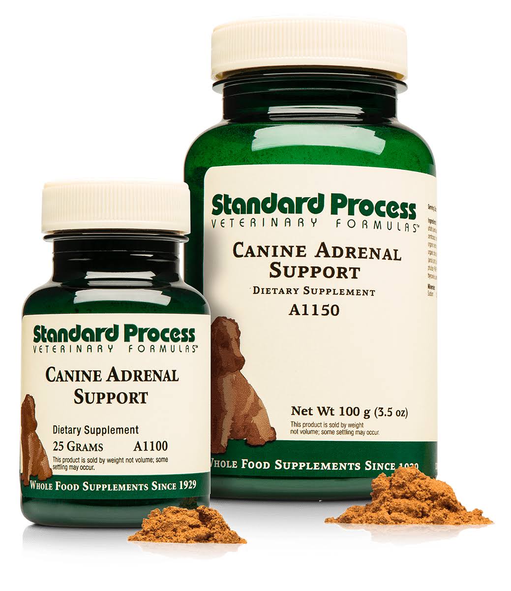 Canine Adrenal Support 100 Grams Z156032