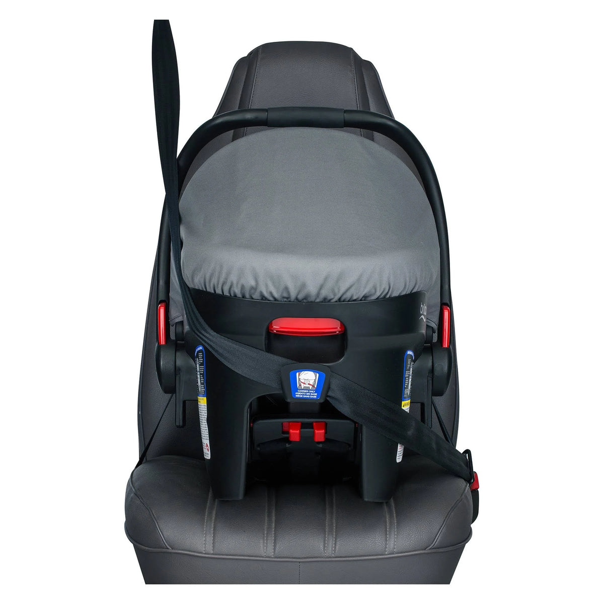 Infant Car Seat M953586