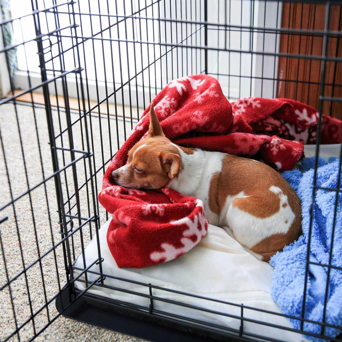 Pet Crate Floor Protection Mat G946251