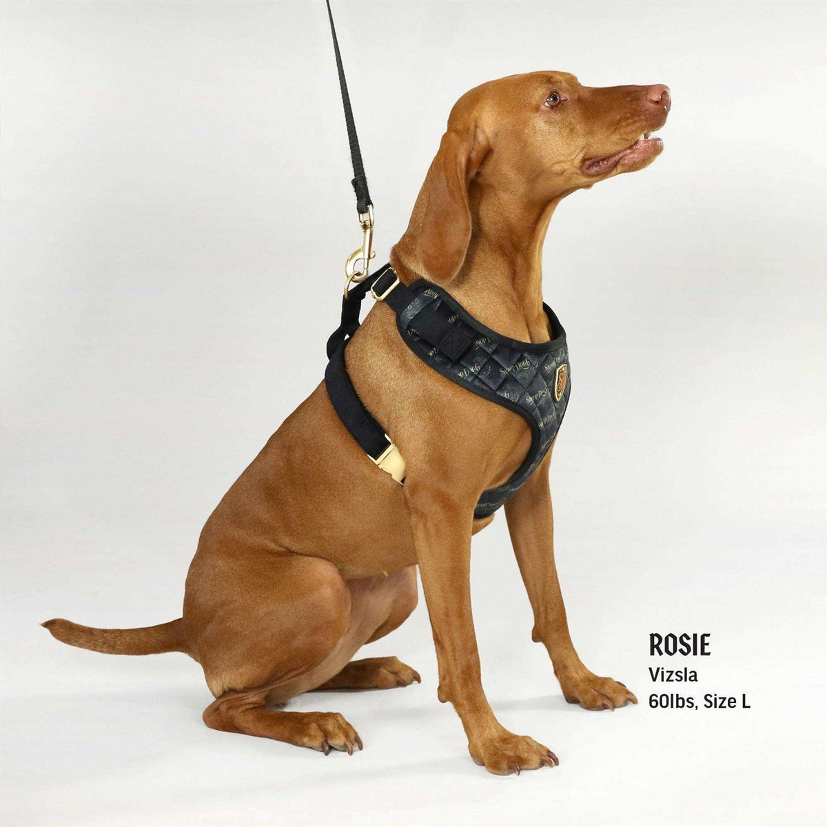 Quilted Pet Harness I370489