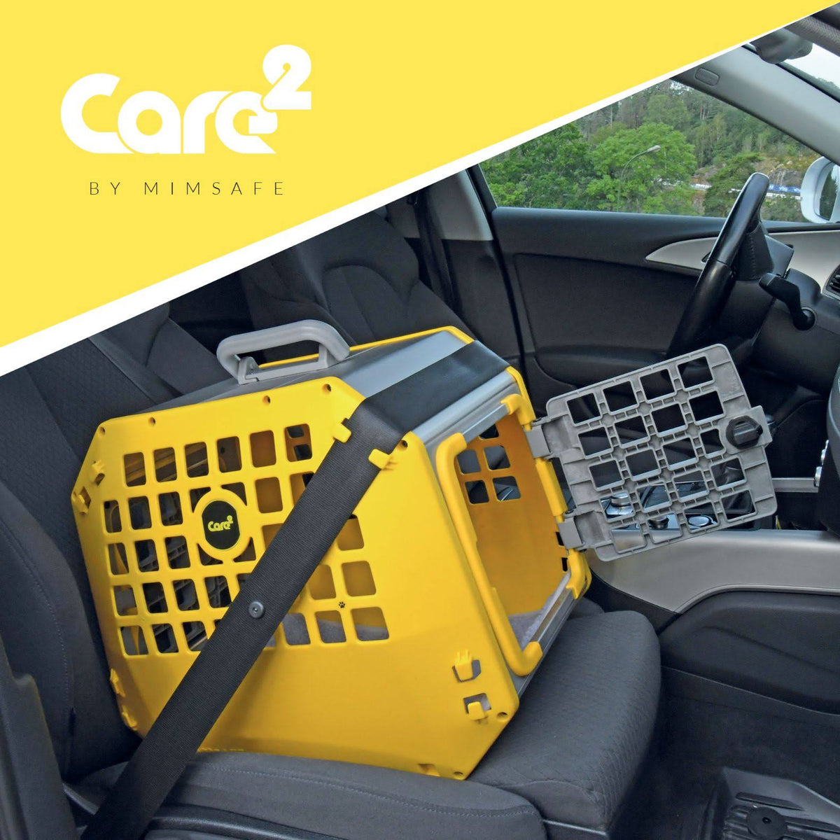Grey Pet Carrier Z3806