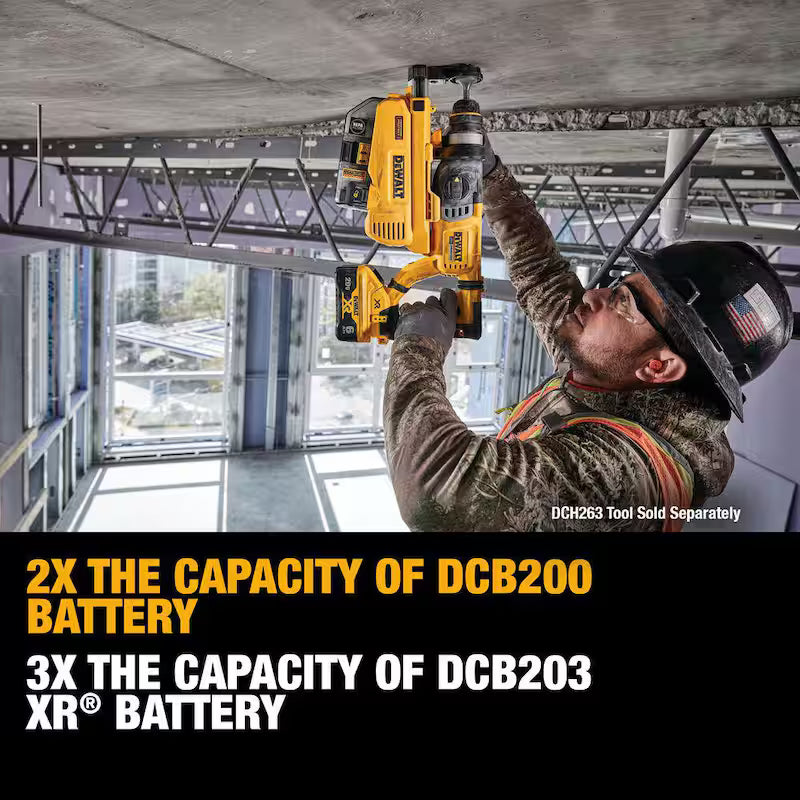20V MAX XR Lithium-Ion 6.0Ah Battery Pack 2 Pack N62376