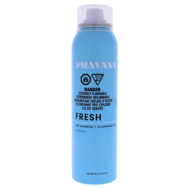 Dry Shampoo 3.4 oz E821